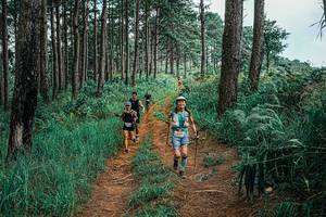 BIB: 
                            <button type="button" onclick="openModal(25708925)" class="btn btn-primary btn-sm float-right btn-popup" data-toggle="modal" data-target=".modal-high-quality">
                        <i class="fas fa-shopping-cart"></i> Add to Cart
                    </button>
                                            <button type="button" onclick="isThisMe(25708925, true)" class="btn btn-success btn-sm float-right btn-popup btn-isme hidden" data-toggle="tooltip" data-placement="bottom" title="นี่คือรูปของคุณใช่ไหม คลิกที่นี่เพื่อเอาเข้าอัลบั้ม">
                        <i class="fas fa-plus"></i> Add to album
                    </button>
                    <button type="button" onclick="isThisMe(25708925, false)" class="btn btn-warning btn-sm float-right btn-popup btn-isnotme hidden">
                        <i class="fas fa-ban"></i> Remove from album
                    </button>